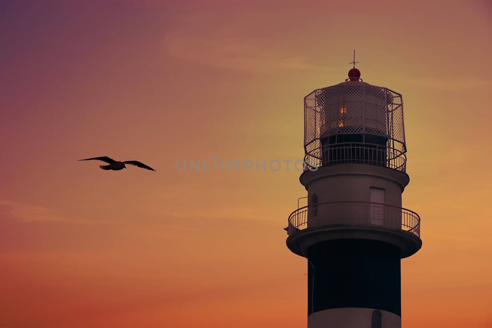 Bolderaja (Riga, Latvia) Lighthouse in sunset and flying Seagull