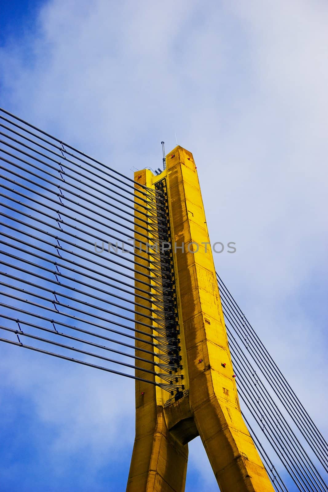 Yellow Cable bridge by ints