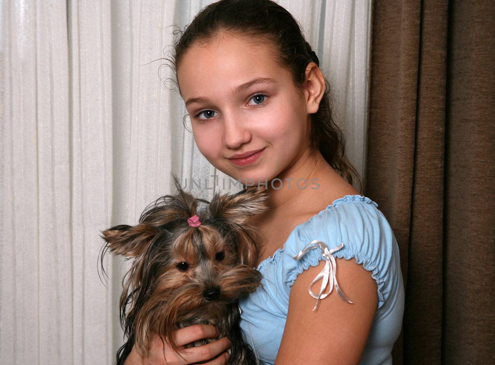 The girl embraces the puppy of the yorkshire terrier