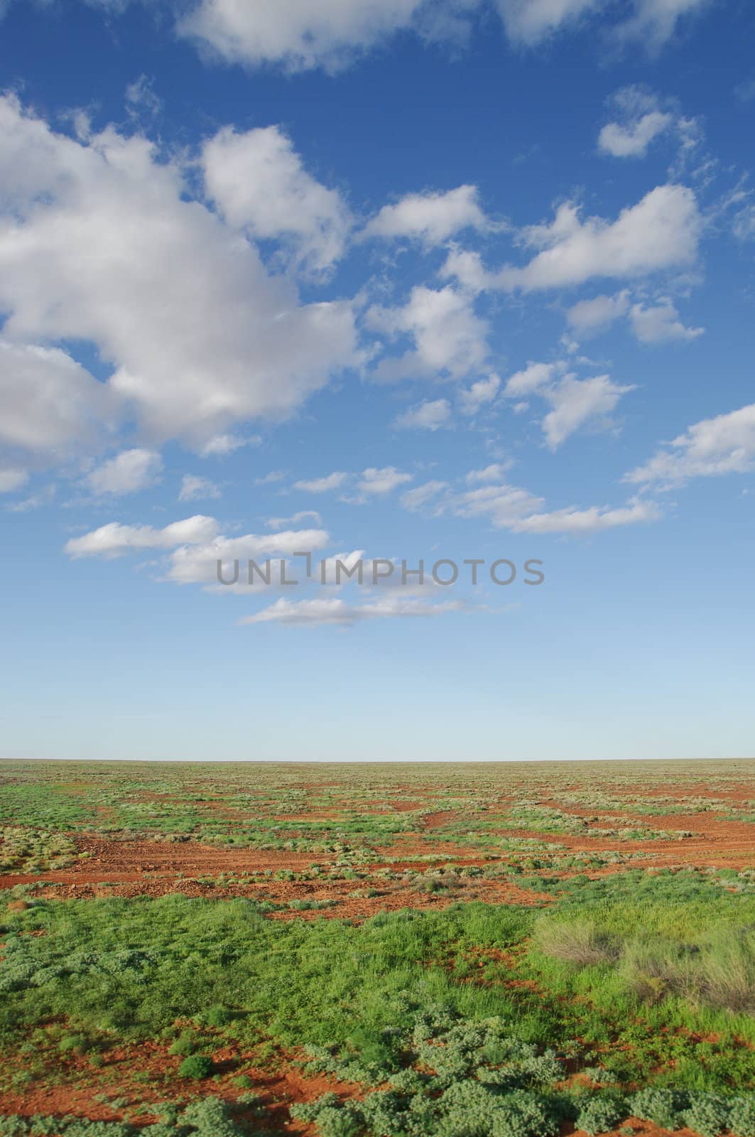 middle of nowhere australian desert near alice springs after rain
