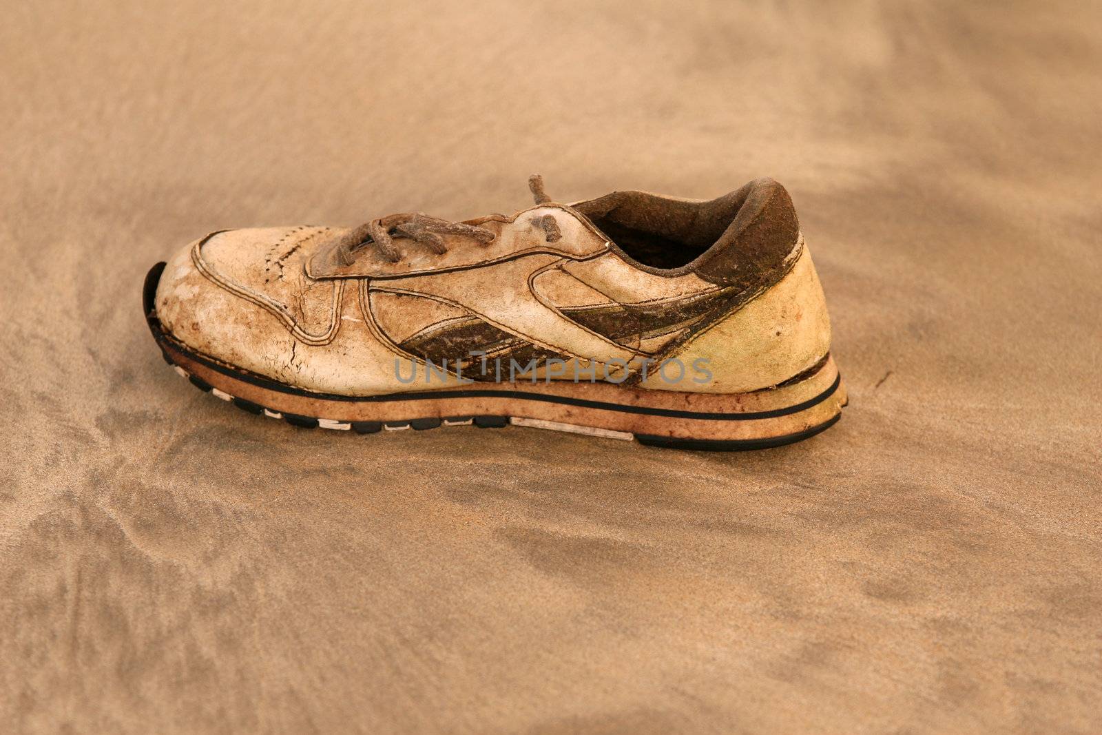 old and dirty running shoe on the beach