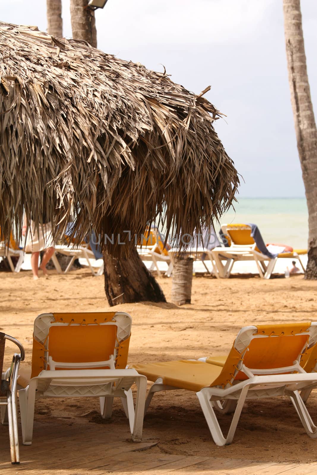 chaise longues and sunshade on the beach