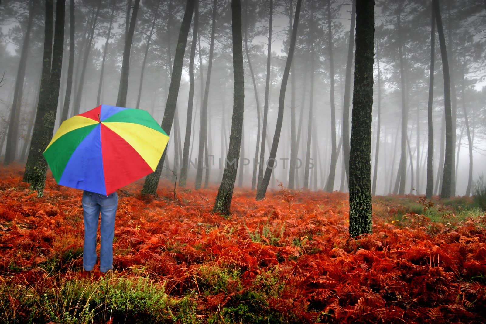 nice and cold autumn landscape