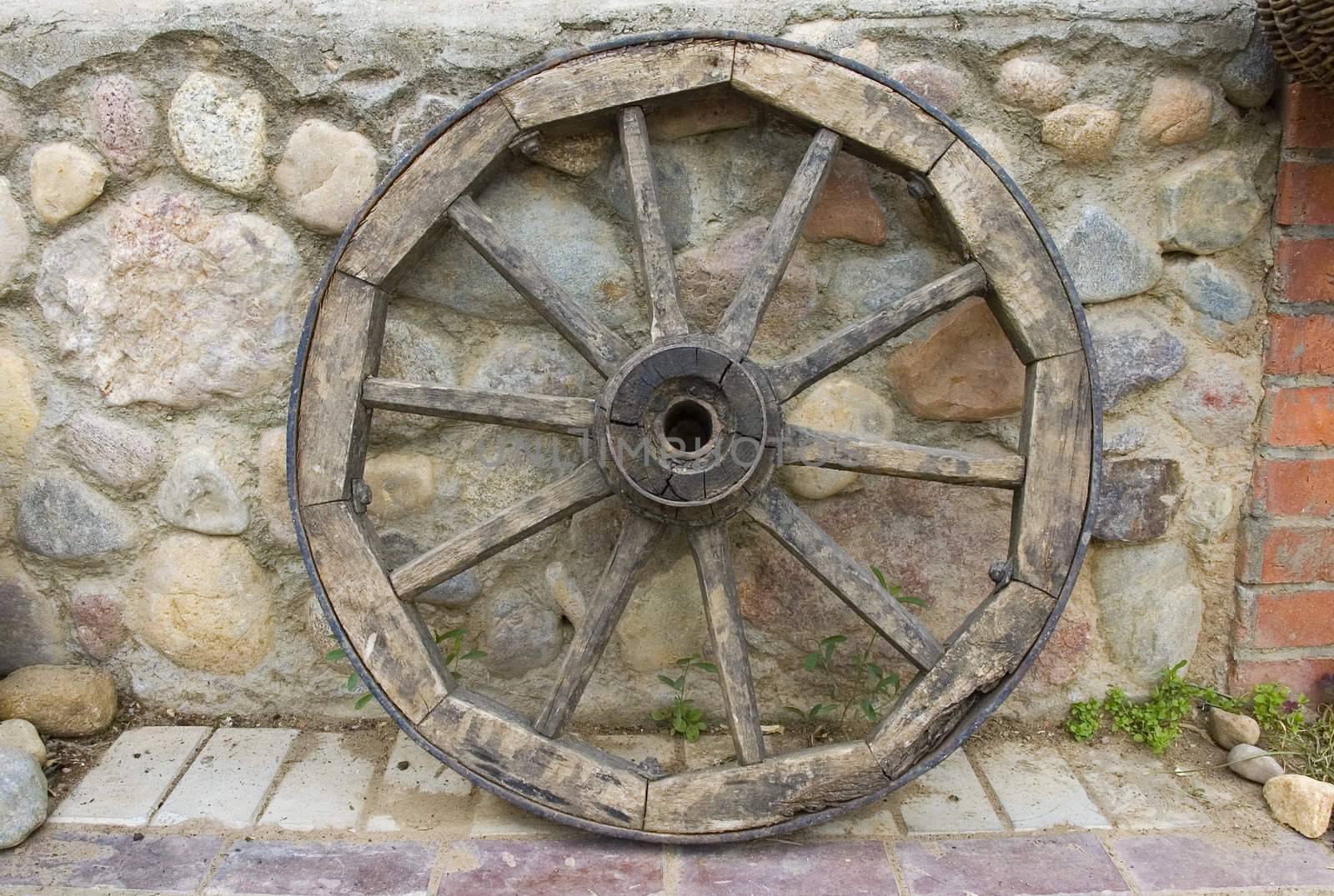 wheel by semenovp