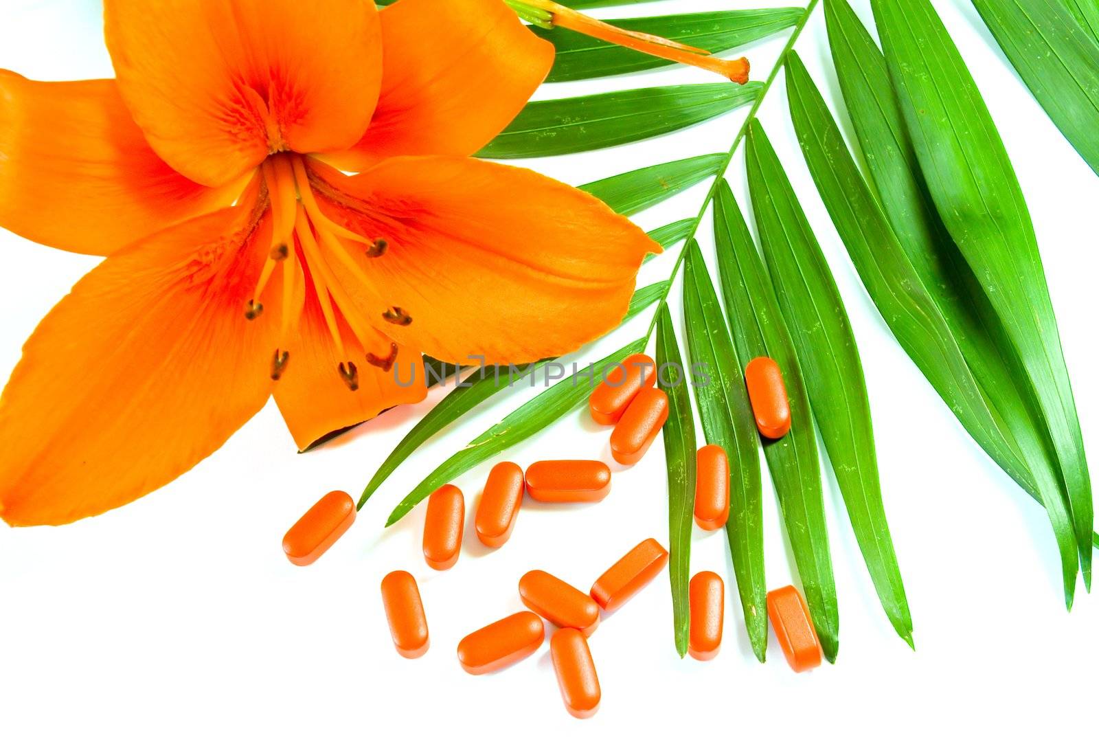 pills, flower and the green leaf on a white background