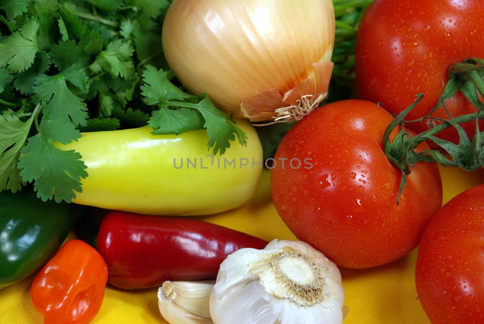 Fresh tomatos and other vegetables for salsa