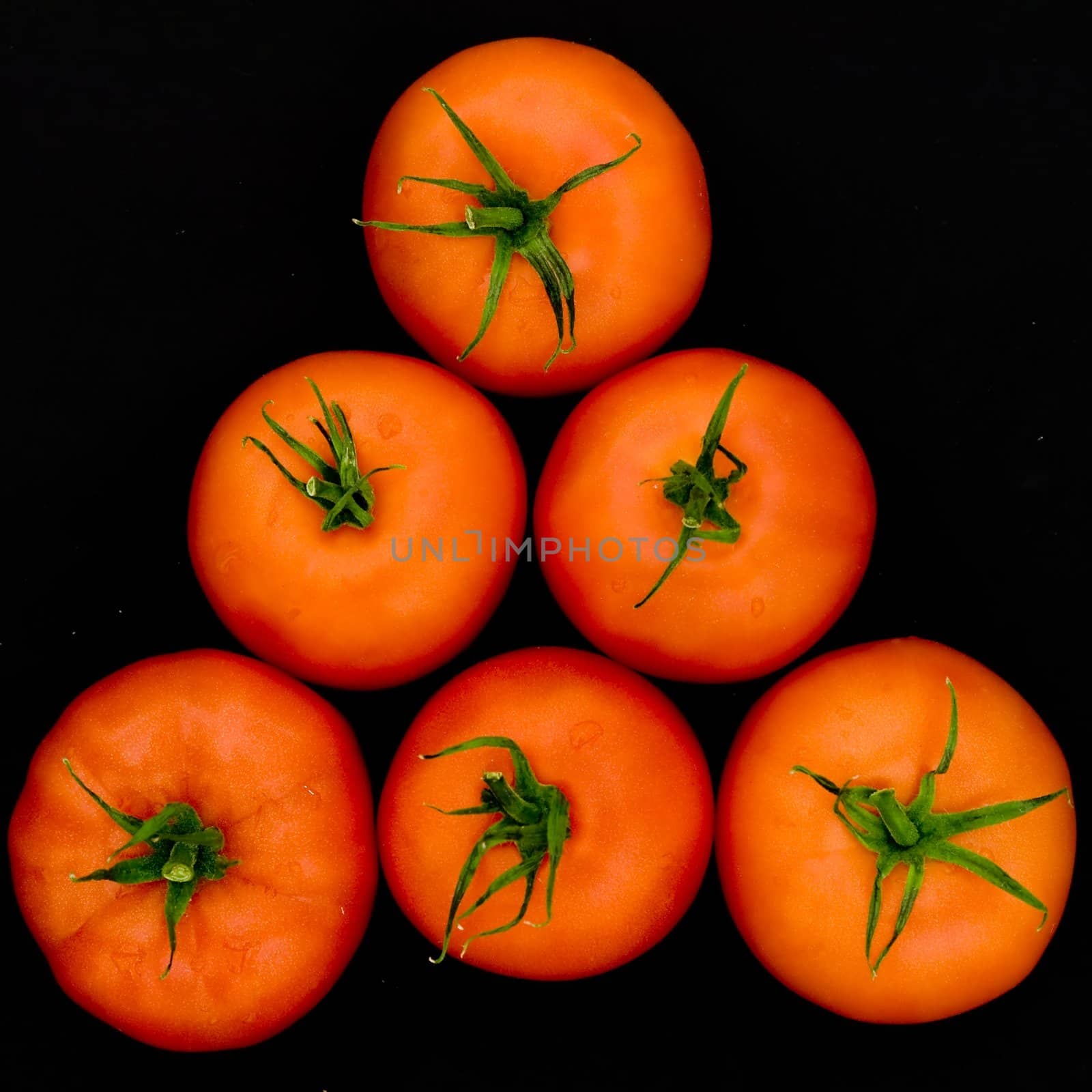 fresh red tomatoes on a black background