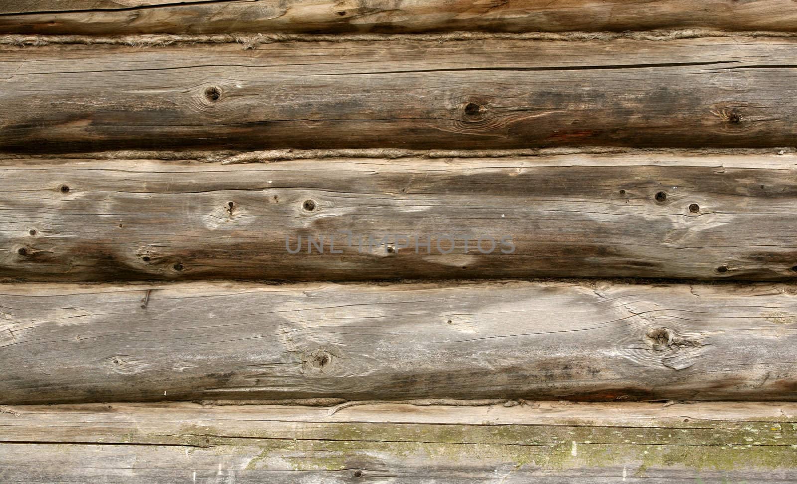 Full screen high resolution shot of wood.