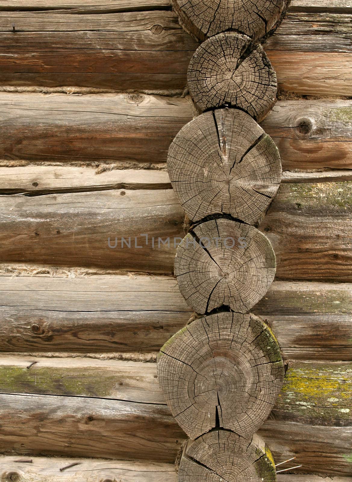 Full screen high resolution shot of wood.