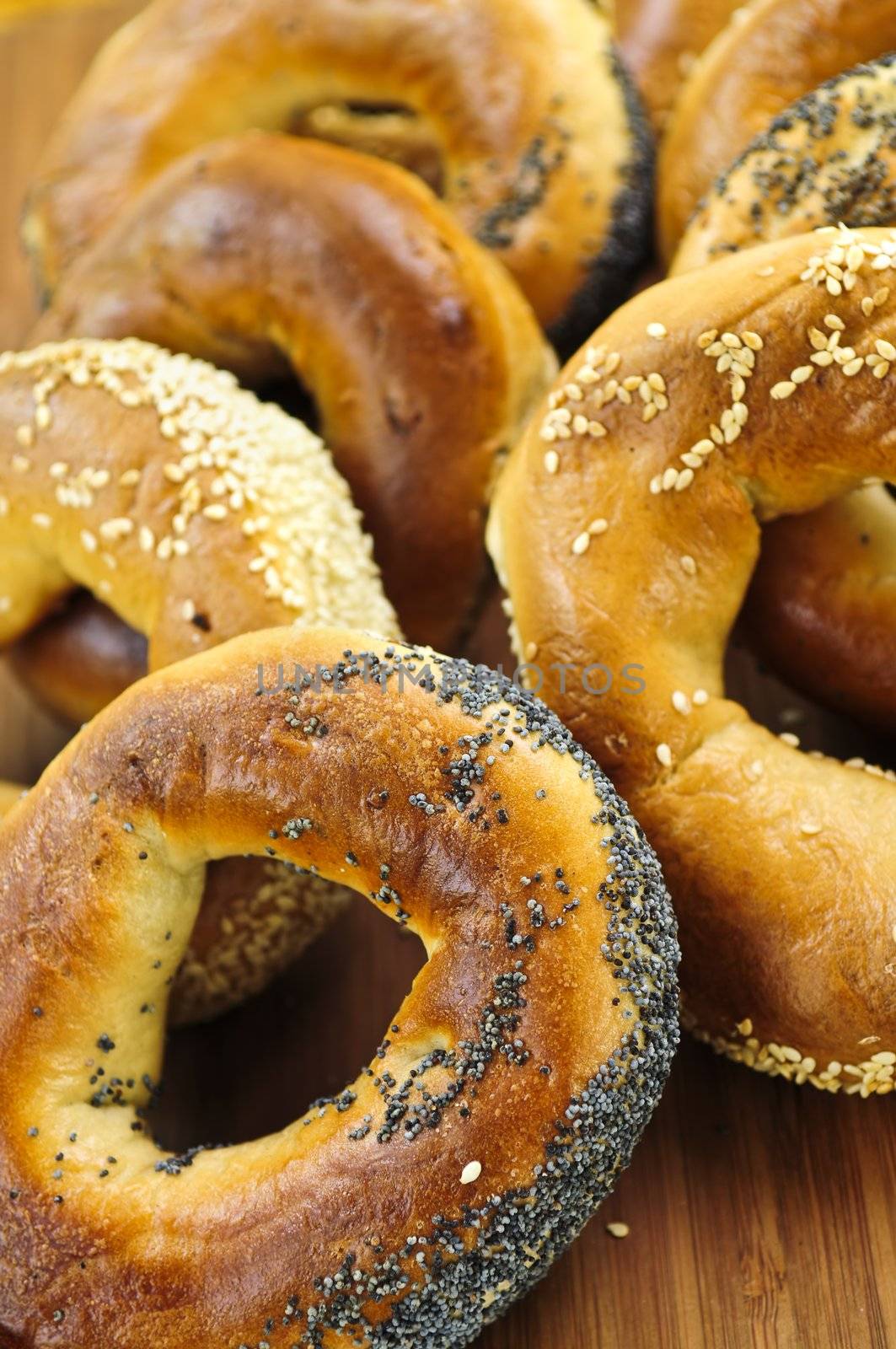 Variety of fresh Montreal style bagels close up