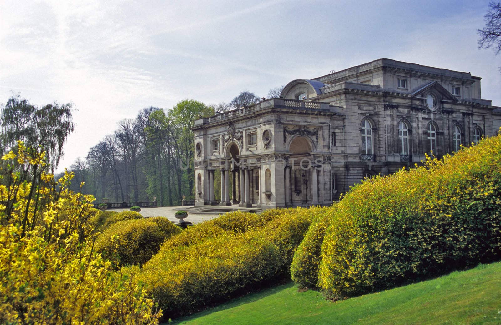 The Belgian Royal Palace in Laeken (Brussels), Belgium is surrounded by Forsythia bushes in the spring. 