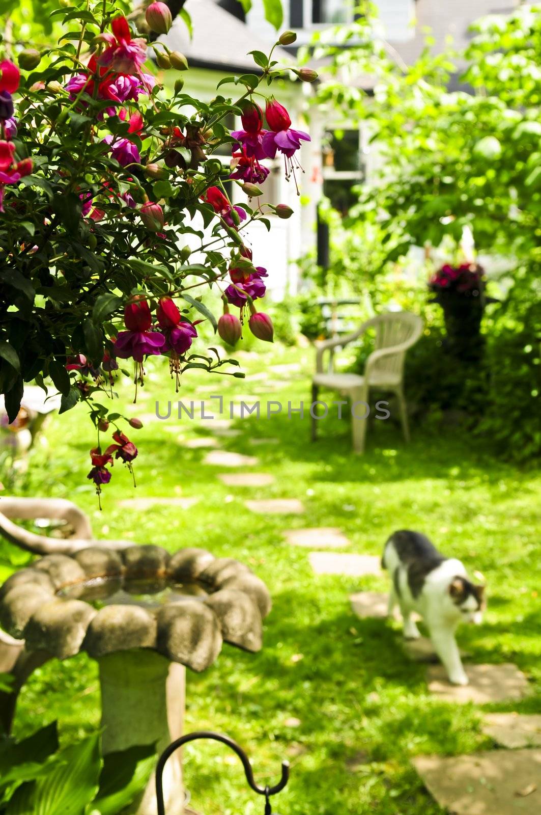 Path of stepping stones leading to a house in lush green garden