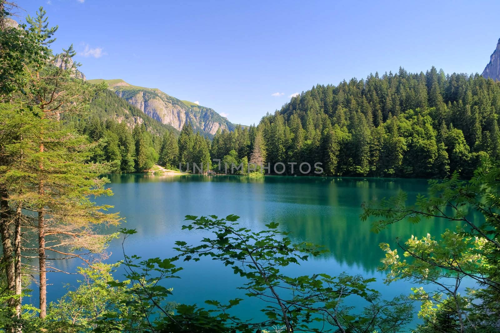 summer view of Tovel Lake, Val di Sole, Trentino Italy. Photo processing with HDR technique 