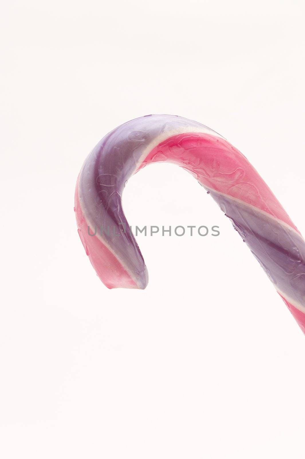 candy cane by lauria