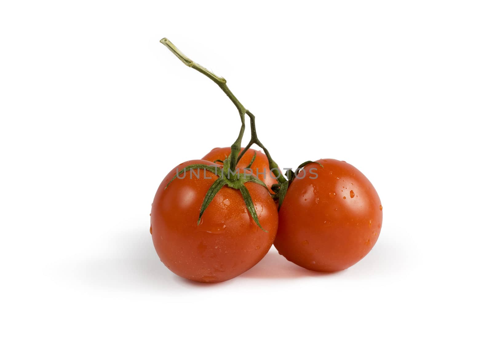 Three red tomatoes with shadow isolated on white background. Clipping path included to remove object shadow or replace background.