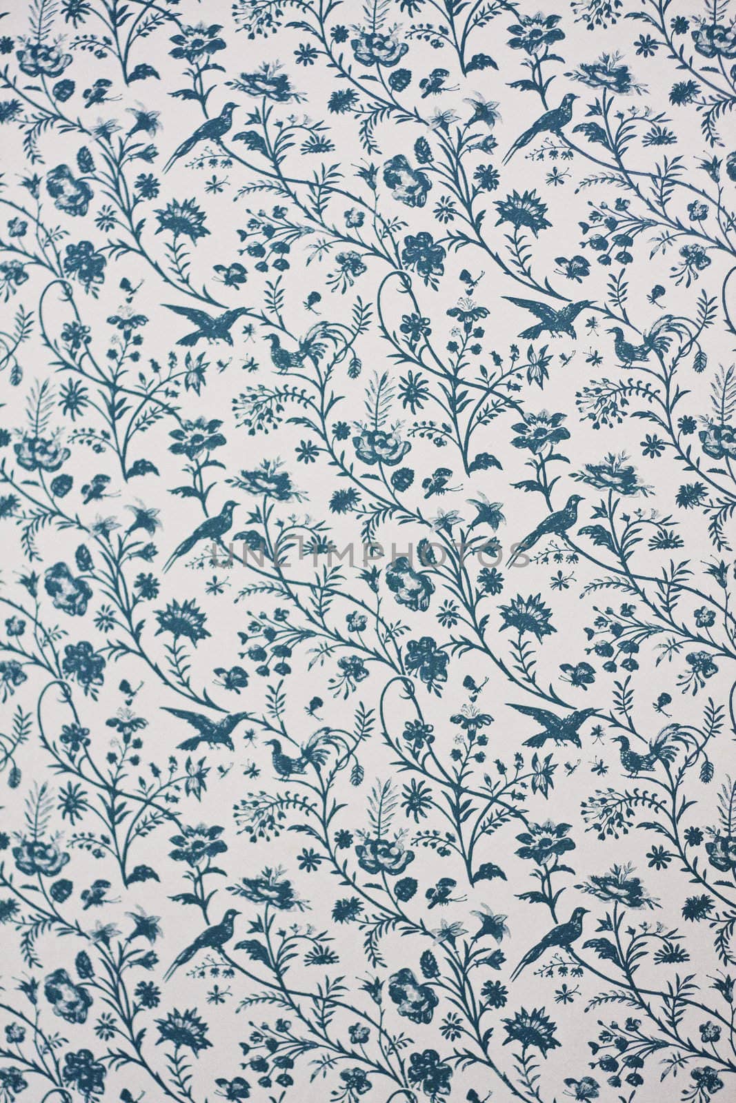 Victorian Wallpaper by Brigida_Soriano