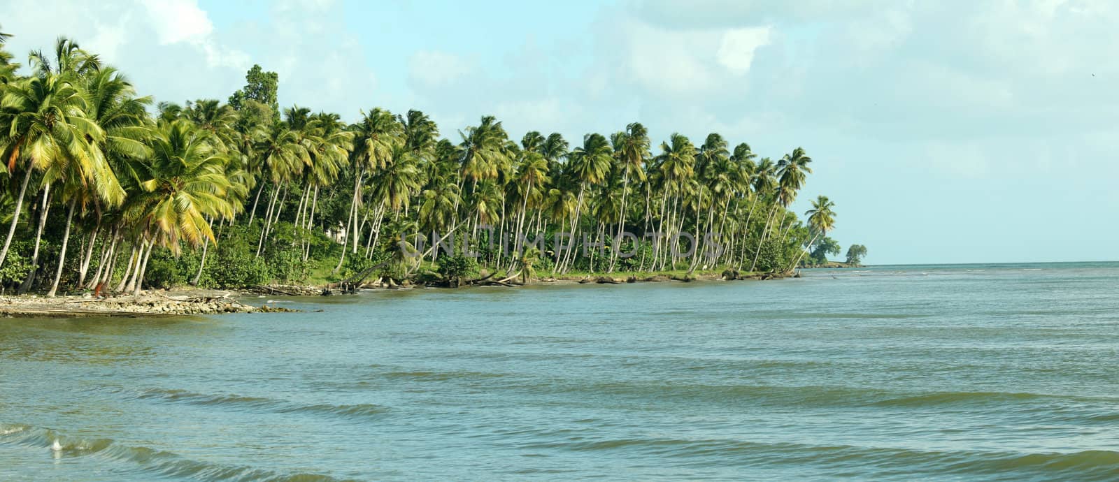 Panoramic view of the beach in caribbean