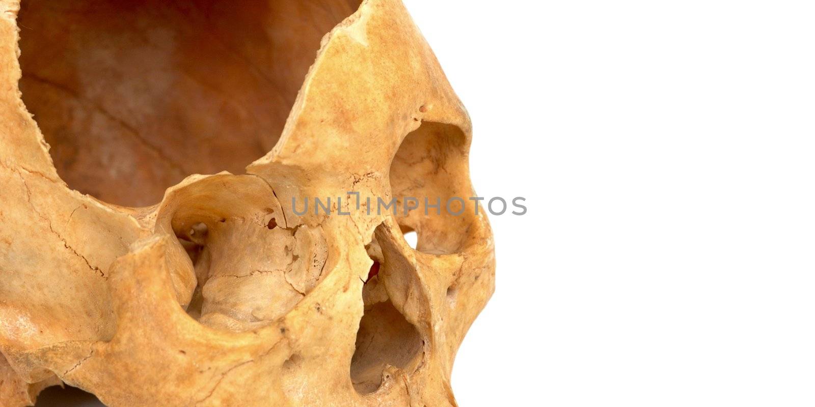 Old broken skull against white background