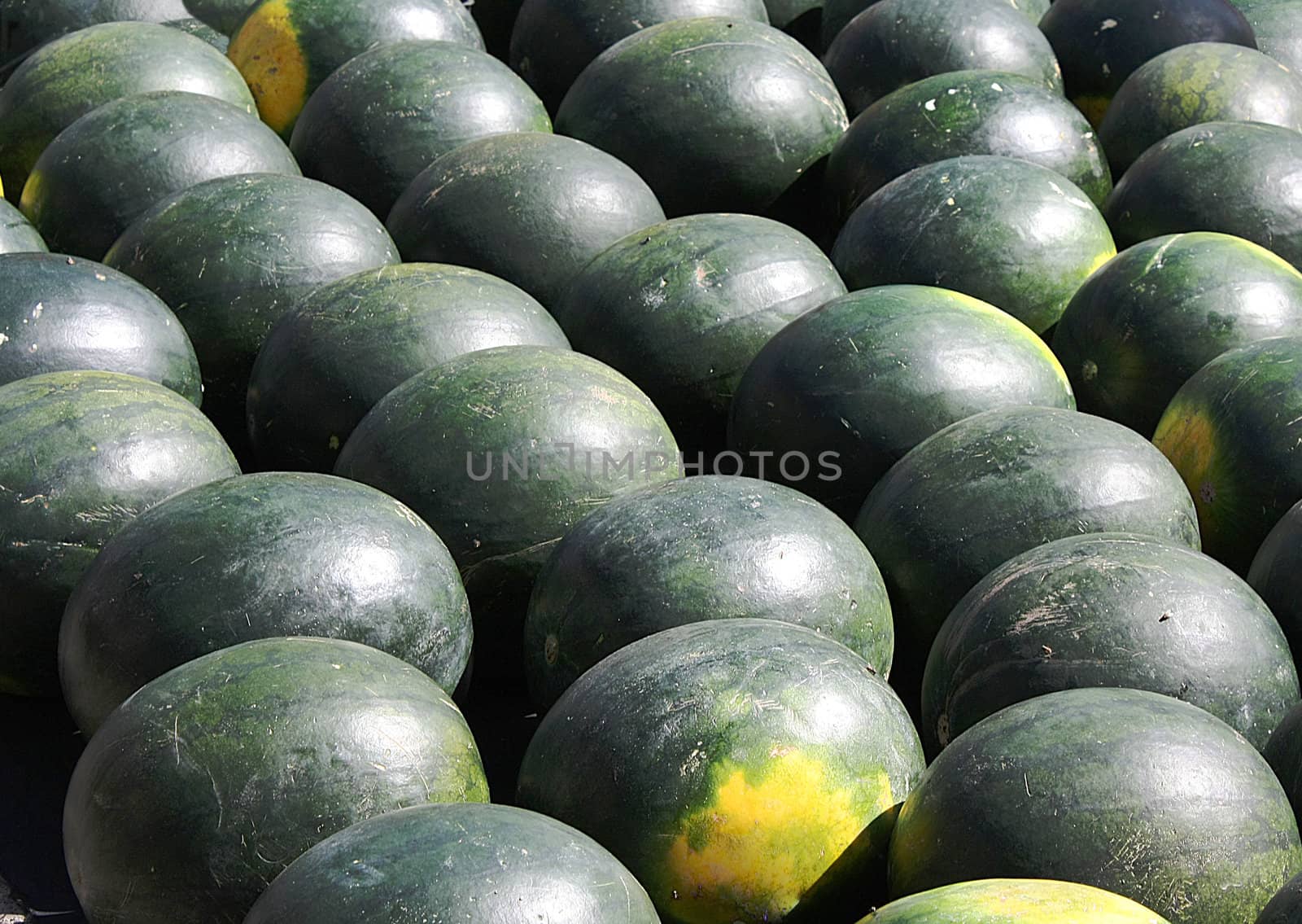 Background of watermelons on display in market.