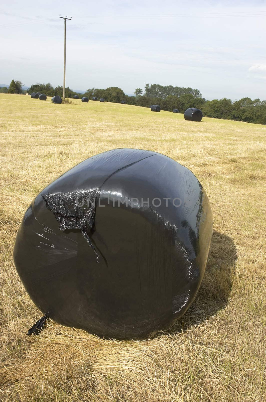 A hay bale.covered in black plastic in a field