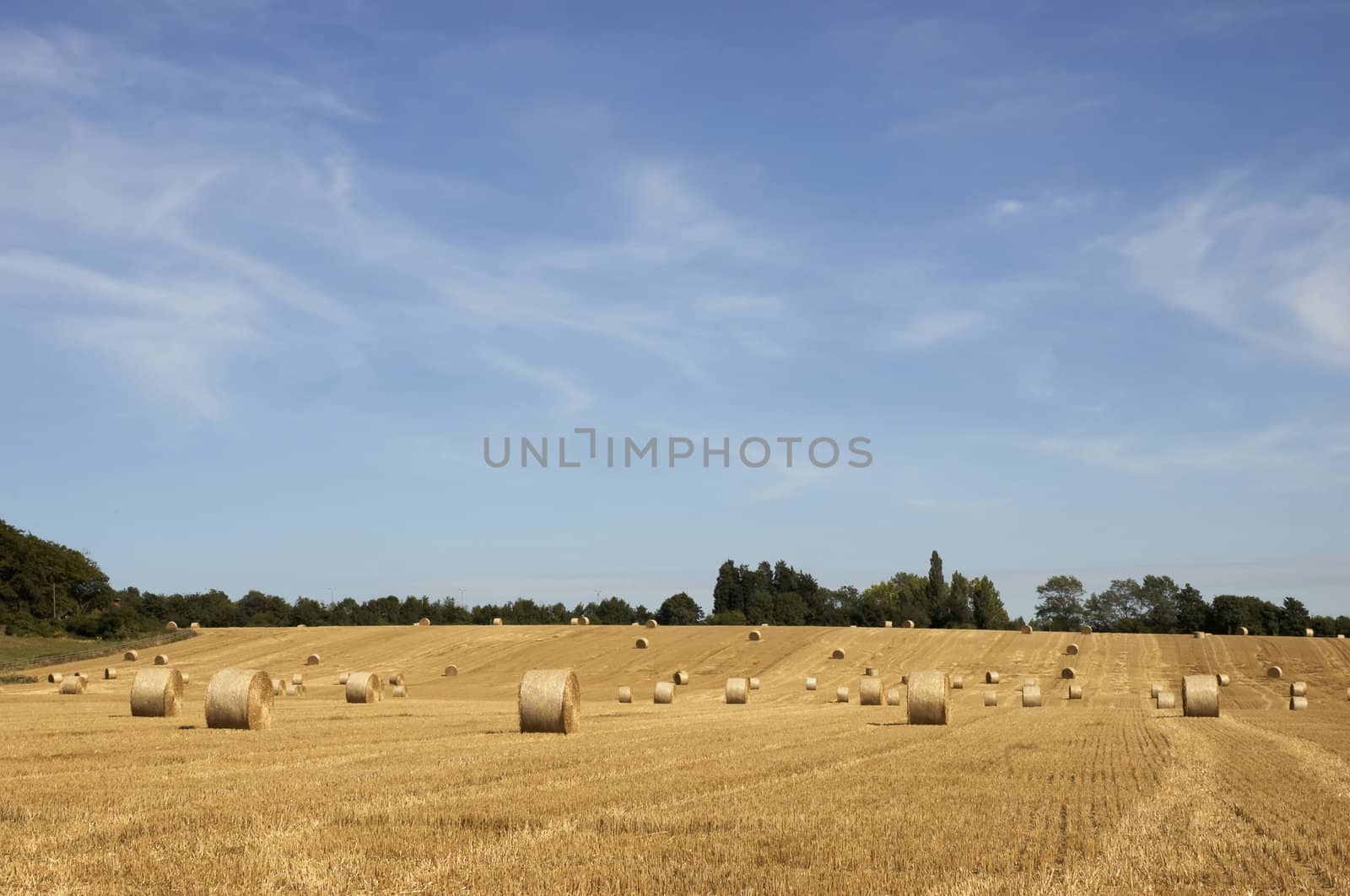 summer landscape with hay bales and deep blue skyscape