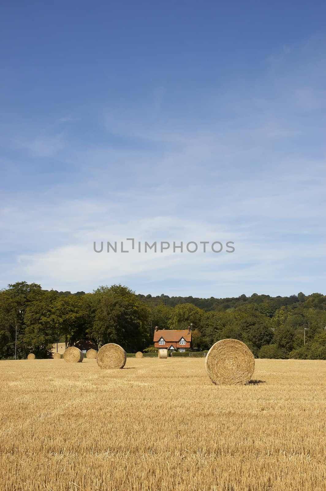 summer landscape with hay bales and deep blue skyscape