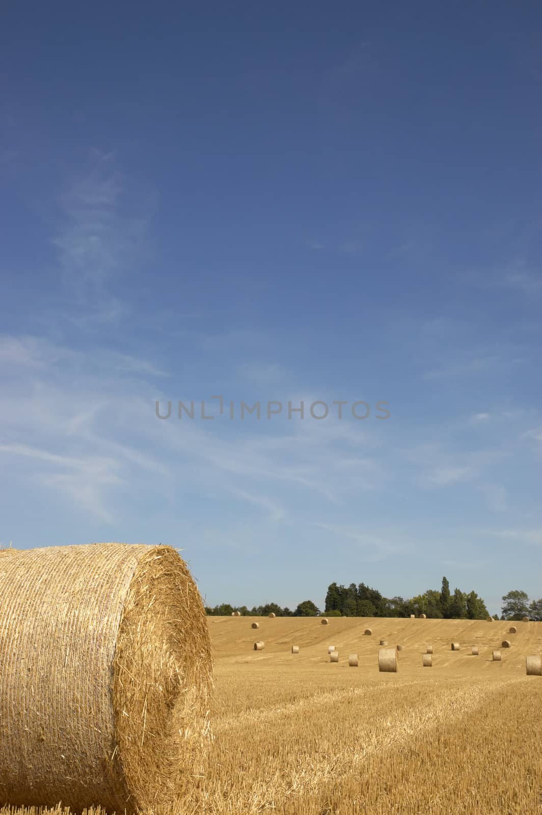 summer landscape with hay bales and deep blue skyscape