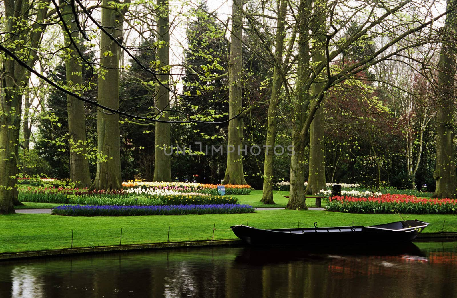 A boat floats beside blooming tulips in Keukenhof Gardens, Lisse, The Netherlands.