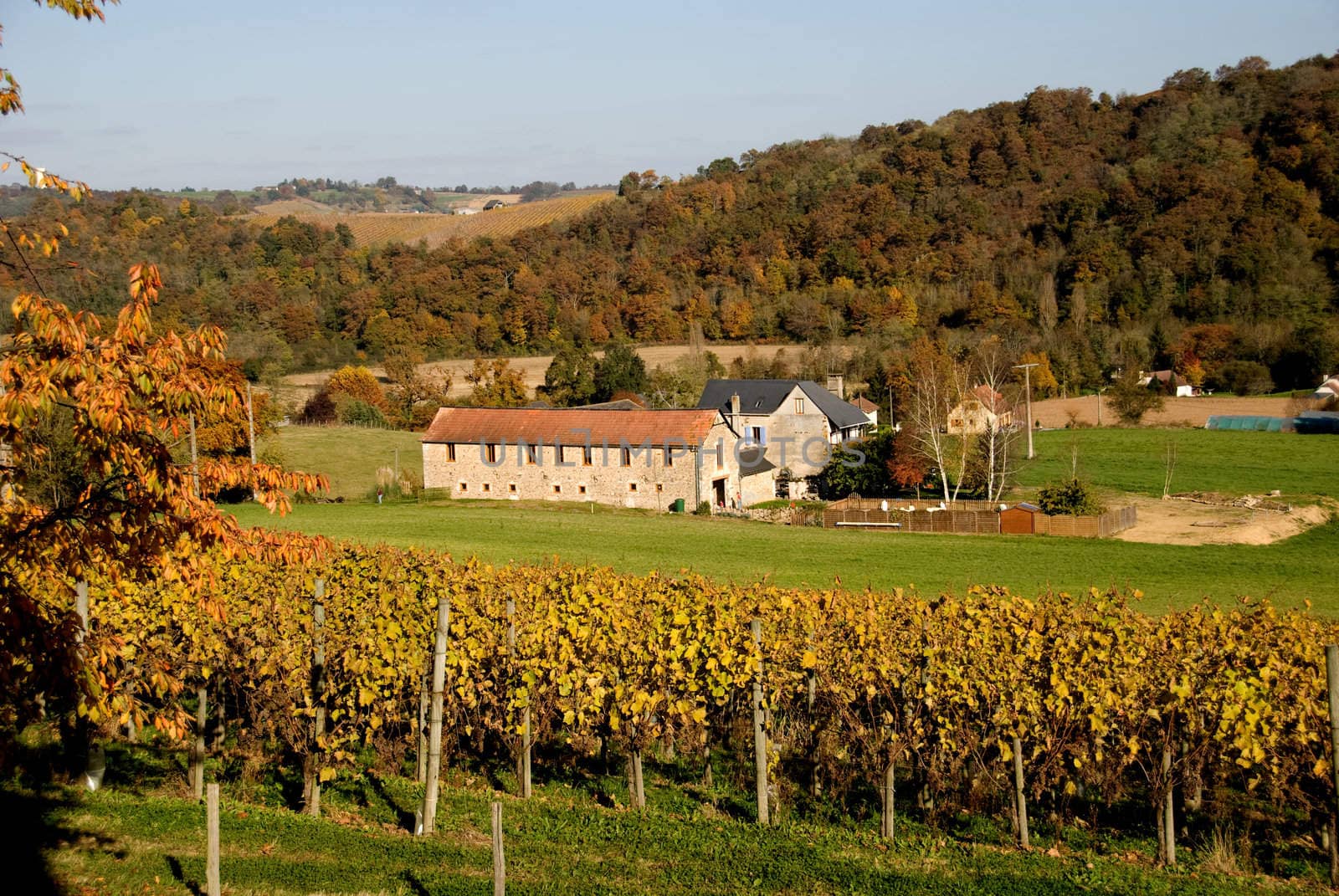 A home sits nestled among the vines of a vineyard in the Aquitane region of southwest France.
