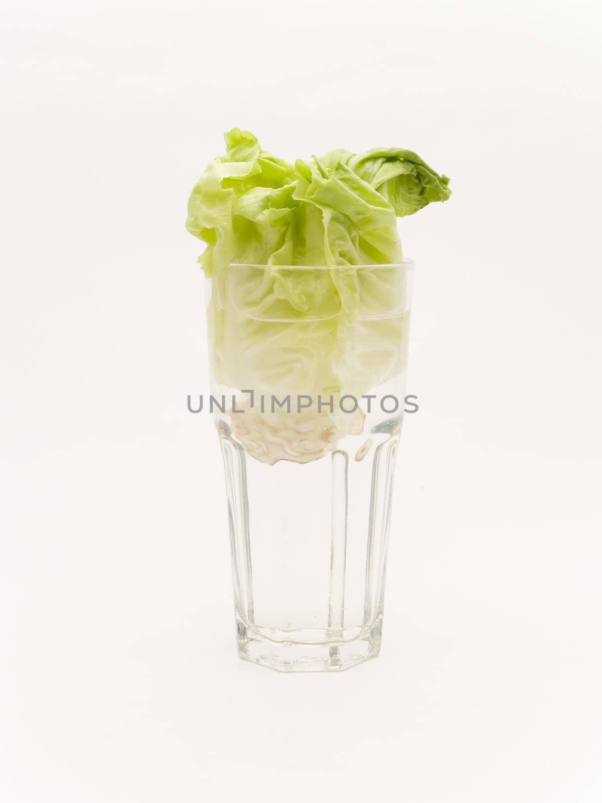 glass with lettuce