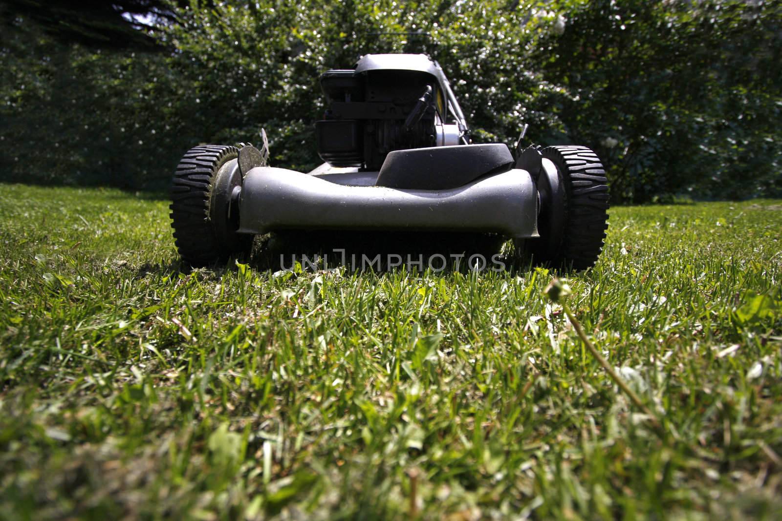 Lawn mower in the backyard