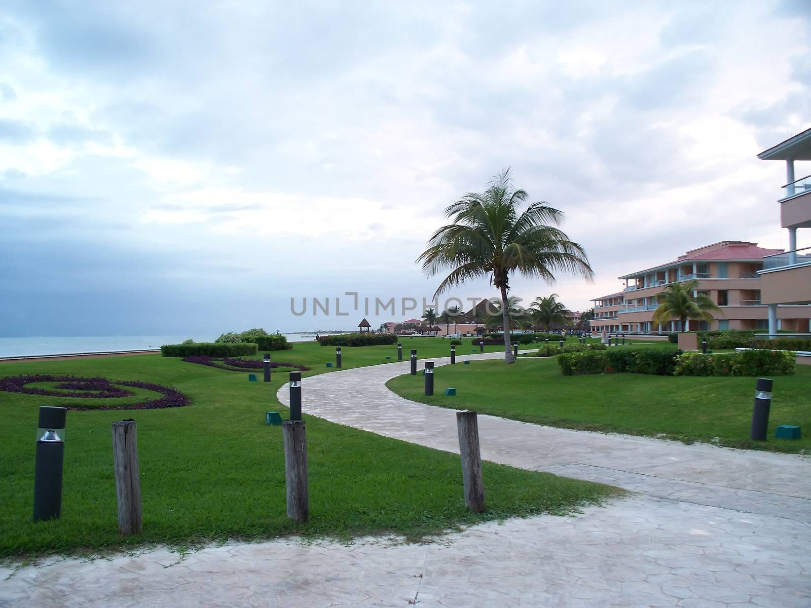 a coastal beach path with palm trees and buildings
