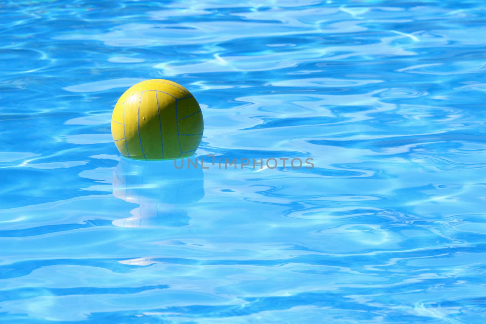 ball swimming in the pool by the sun