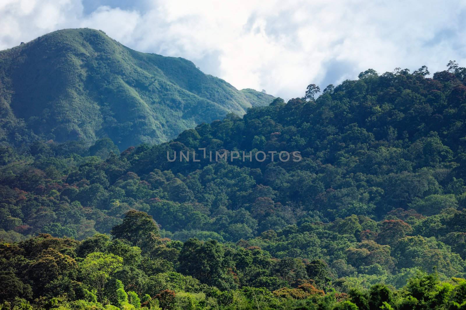 The vast spaces with high hills in India