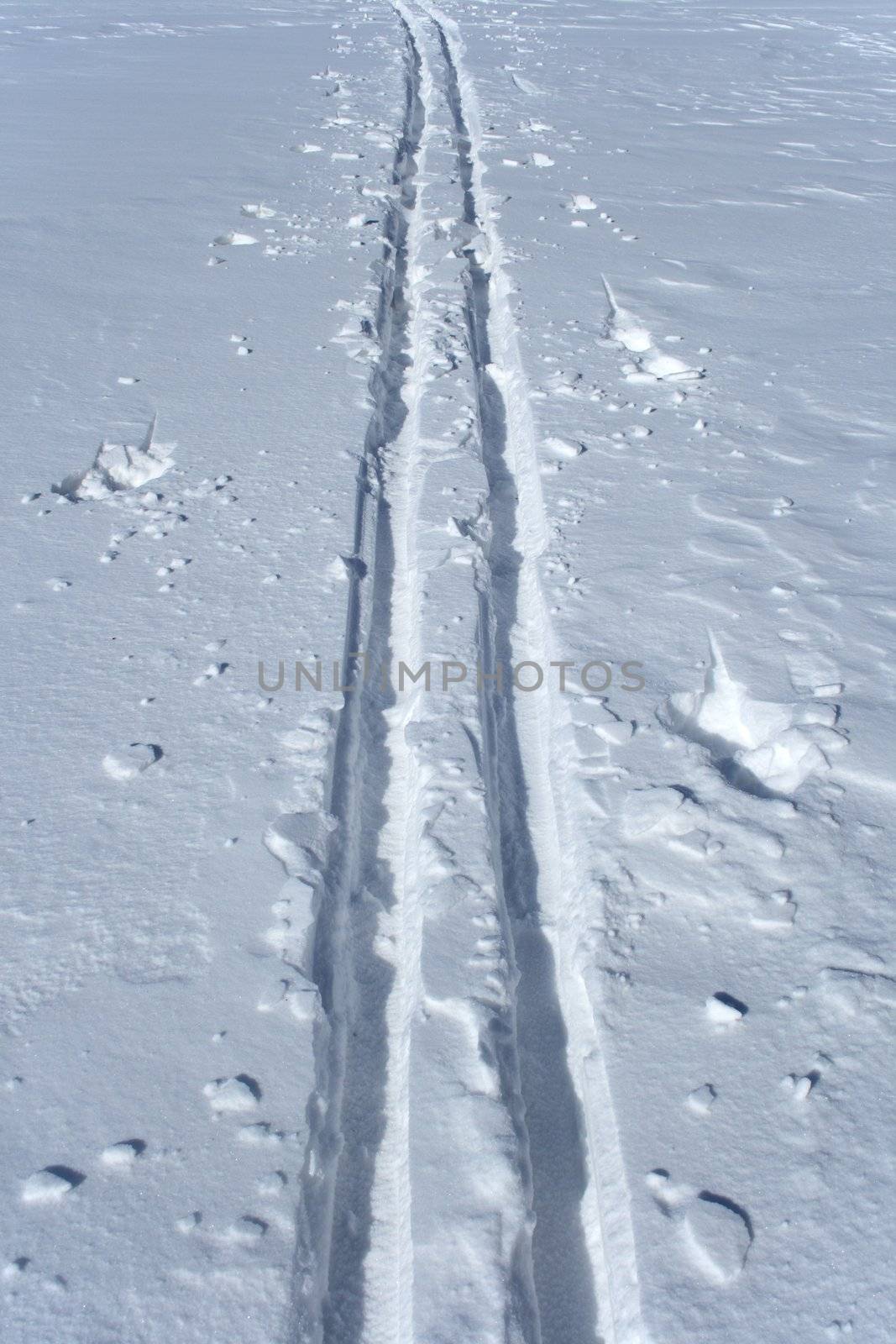 Winter sport. Ski tracks in the snow.