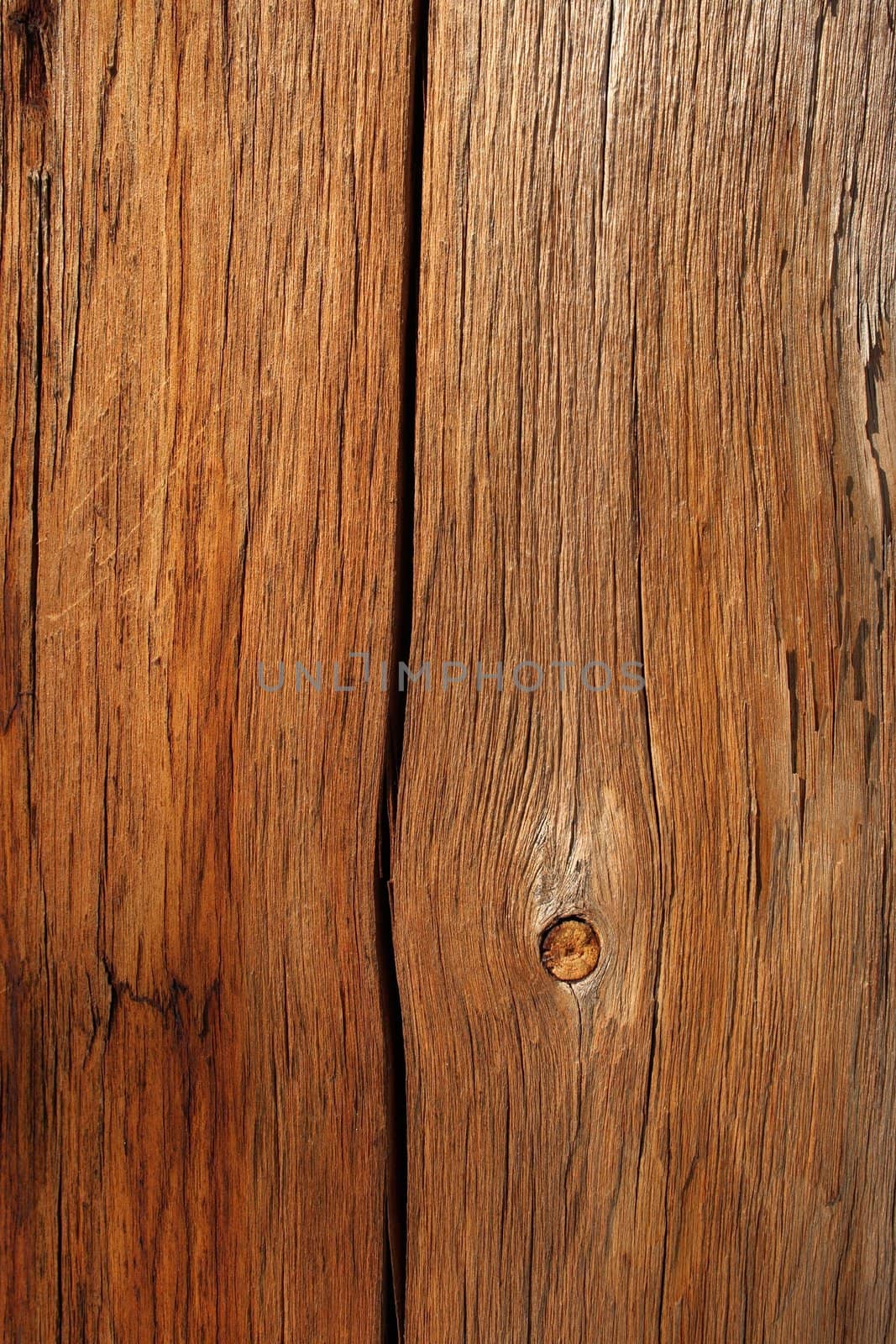 Old cracked grainy wood by anikasalsera