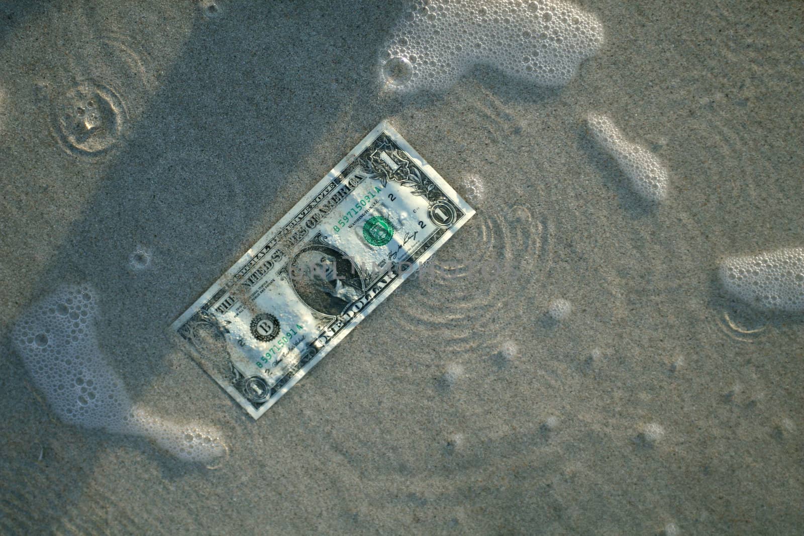 One dollar in water on the beach in caribbean