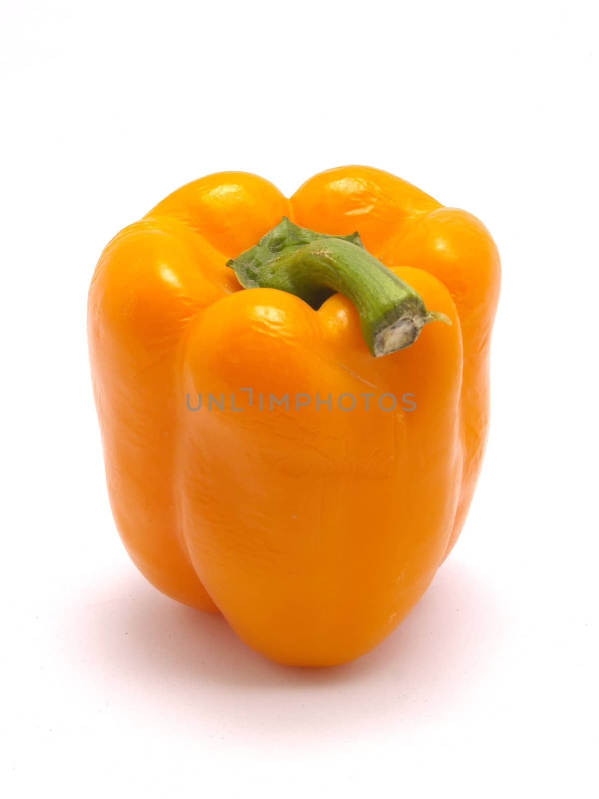 orange pepper by lauria