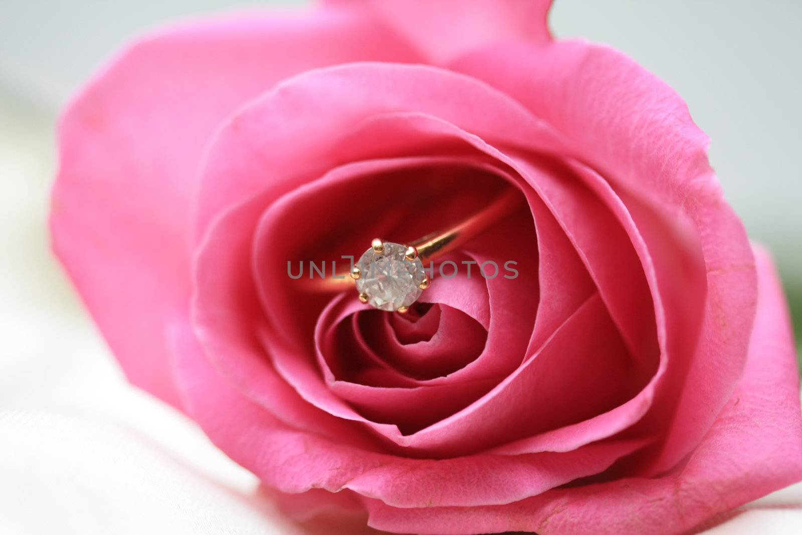 Diamond engagement ring in a pink rose by studioportosabbia