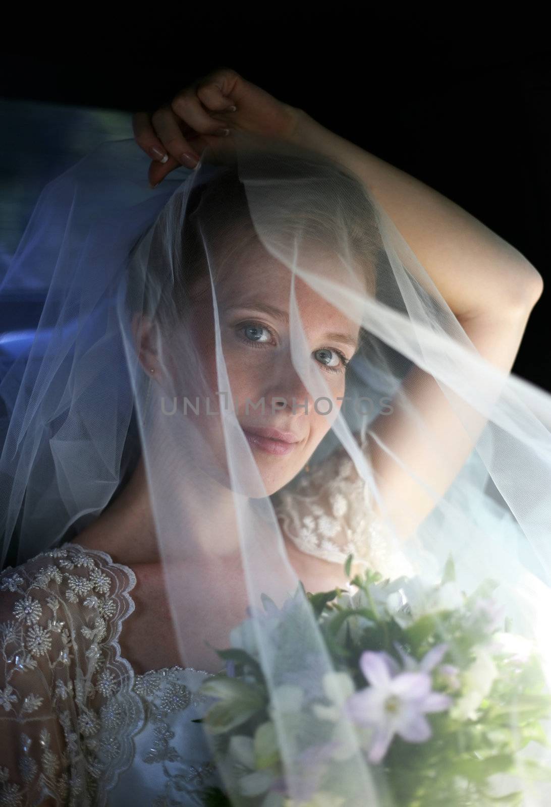 The beautiful bride is closed by a veil