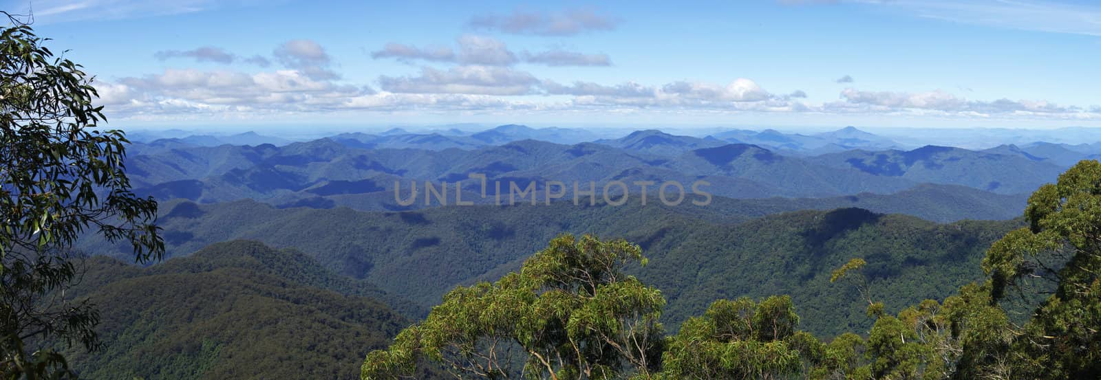 panorama of the view looking at the distant mountains (world heritage area) at point lookout with clouds at eye level