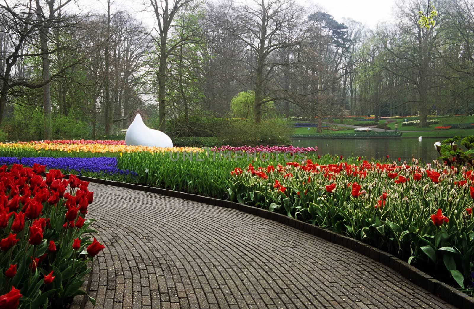 Pathways lead visitors past thousands of hyacinths and tulips  in the spring in Keukenhof Gardens, Lisse, The Netherlands.