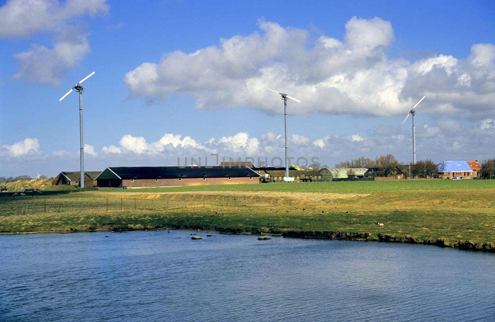 A Dutch farm is powered by wind energy in the northern Netherlands.