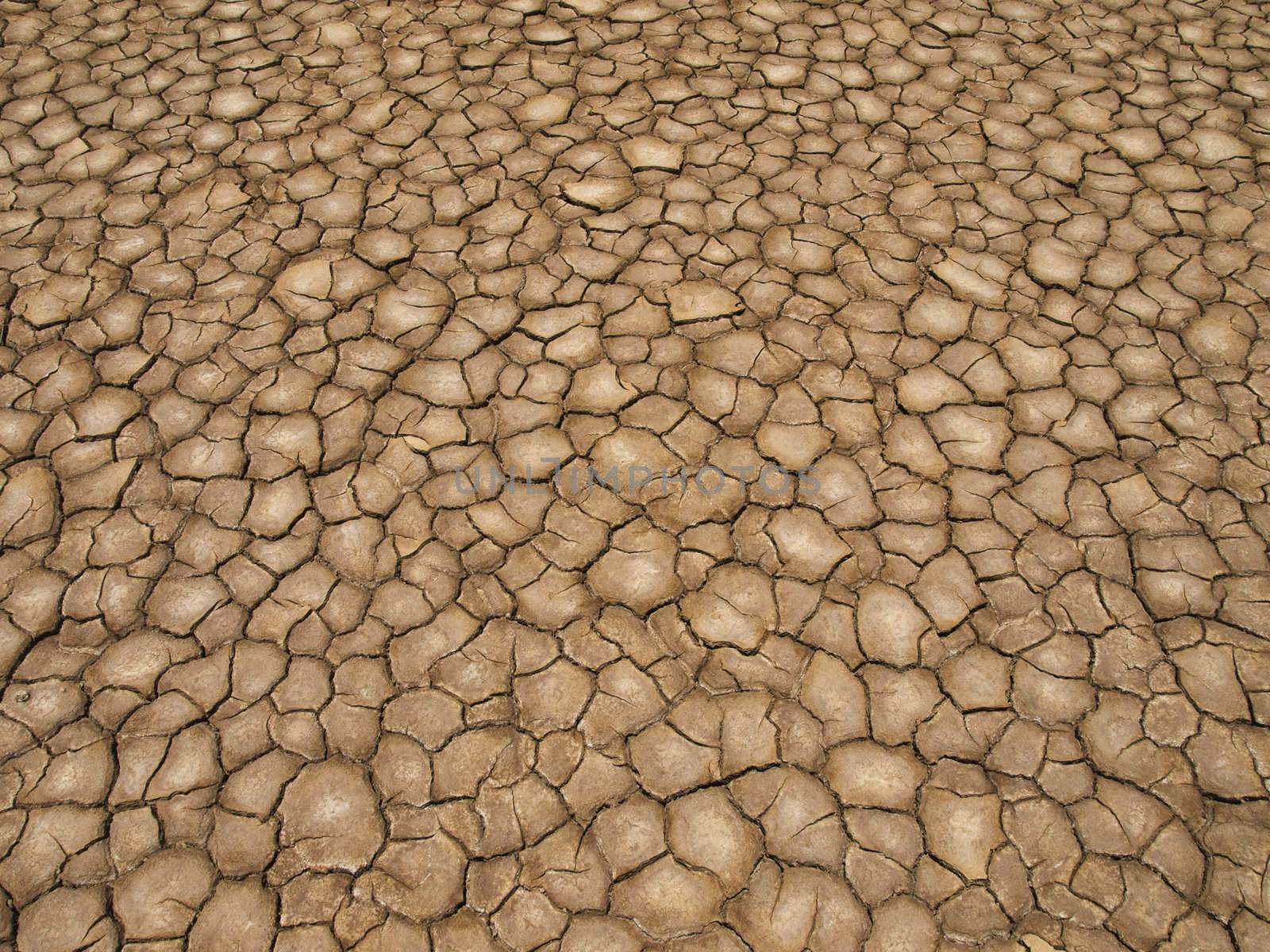 A baked earth soil after a long drought.