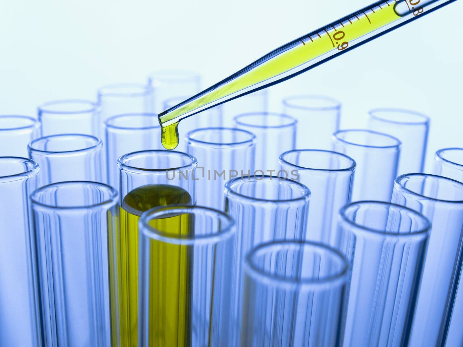 Close up of test tubes and pipette with a yellow liquid.