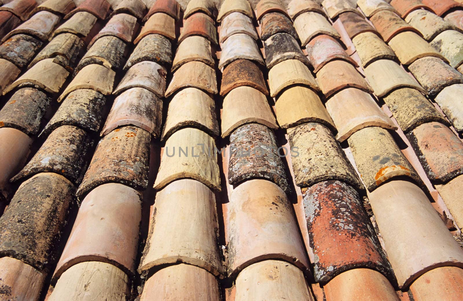 Detail of old terra cotta roof tiles.