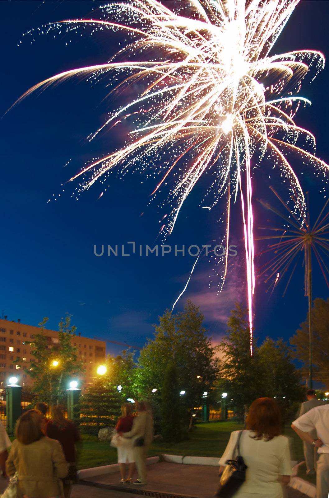 Long exposure shot of wedding firework. Peoples blurred