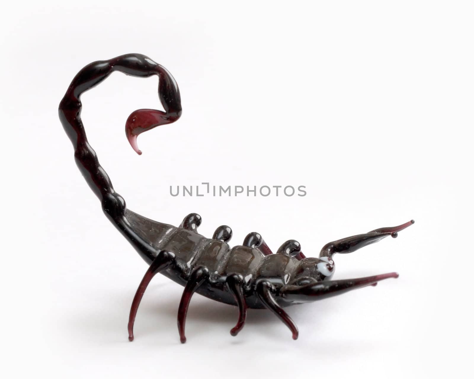 black Scorpio from glass