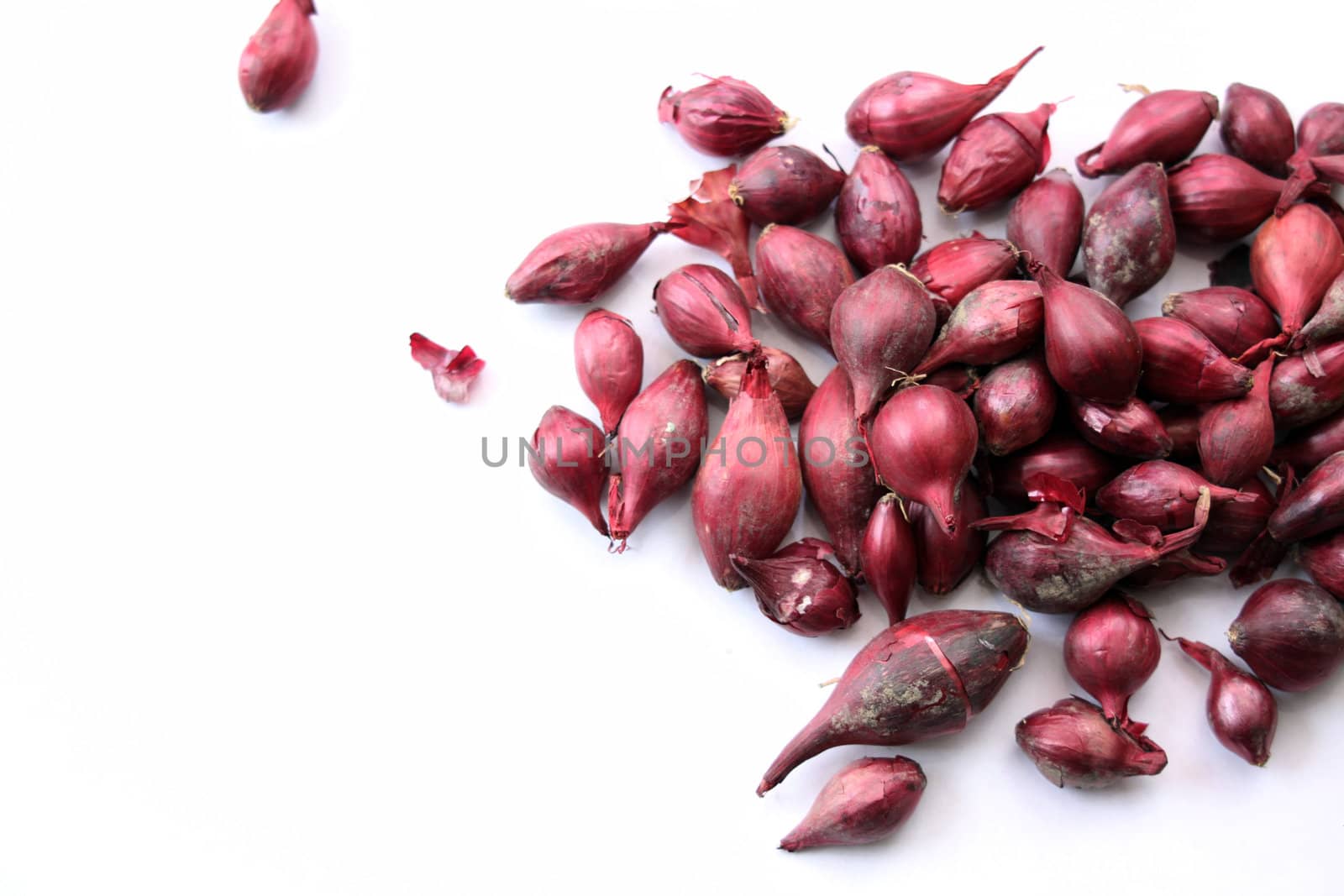A landscape format image of a pile of Red Baron onion sets, set on a white isolated background.