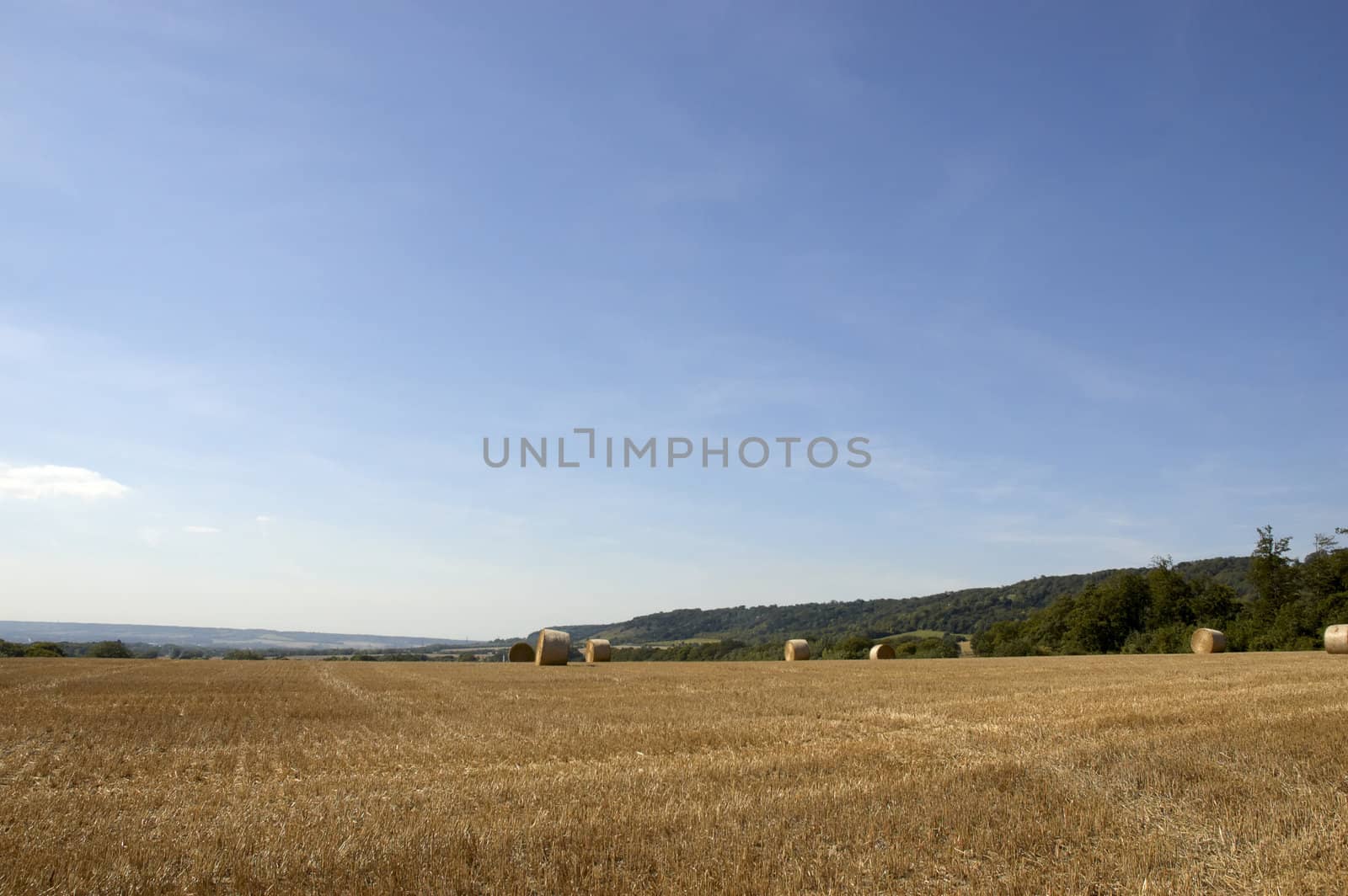 summer landscape with hay bales and deep blue skyscape